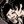 hate antis cf avatar