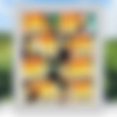 Post media background