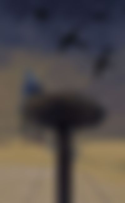Post media background