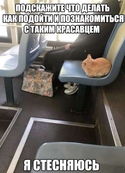 Post media