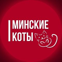 Минские коты avatar