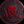 FRONT SIDE OF THE MEDAL avatar