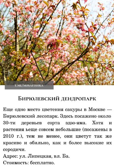 Post media
