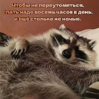 Post media