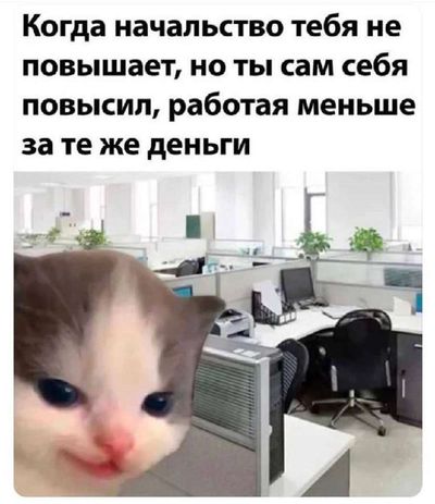 Post media