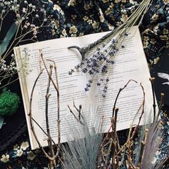 на грани книжного срыва avatar
