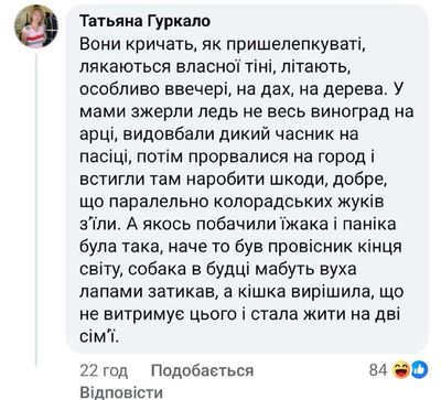 Post media