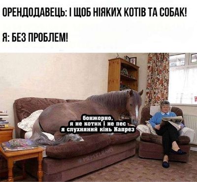 Post media