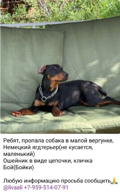 Post media