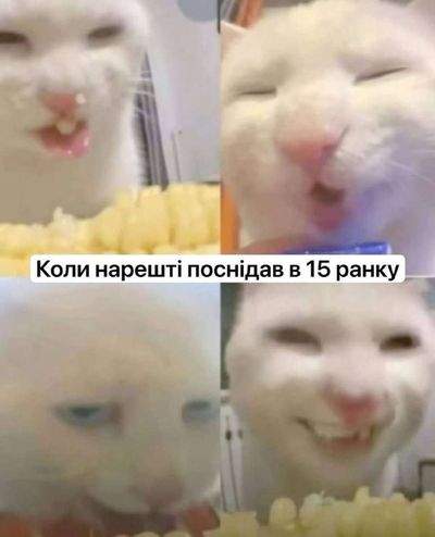 Post media