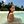 Cindy Kimberly avatar