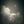 ender lilies confession avatar