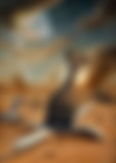 Post media background