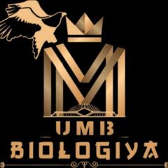 Bio | Masala | Ubaydullayev Mirjalol ® avatar