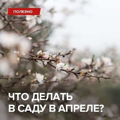 Post media