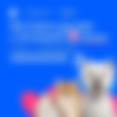 Post media background
