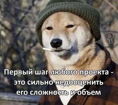 Post media