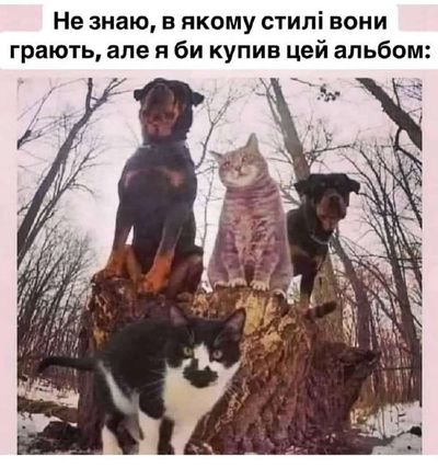 Post media