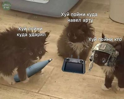 Post media