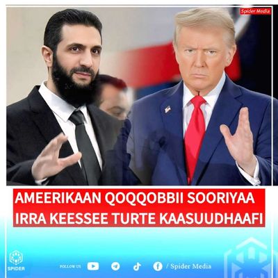 Post media