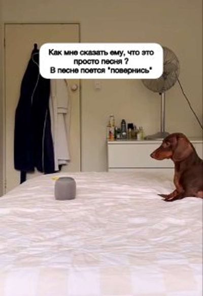 Post media