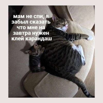 Post media