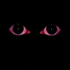 ПСИХОТРАВМЫ CONFESSION [🔪🫀] avatar