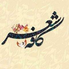 🦋کافه شعر🦋 avatar