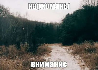 Post media