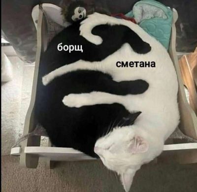 Post media
