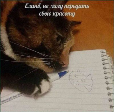 Post media