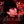 𝐙𝐀𝐋𝐊𝐀𝐑 avatar