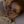 madelaine petsch avatar