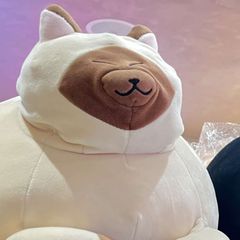 부자고양이 avatar