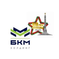 БКМ Холдинг avatar