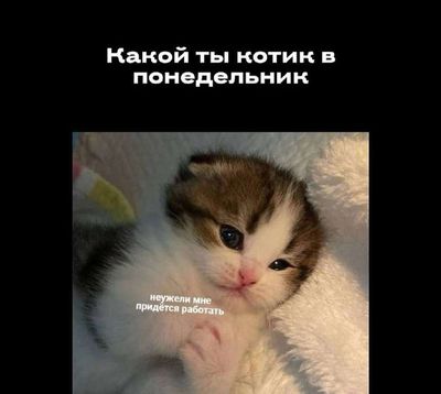 Post media