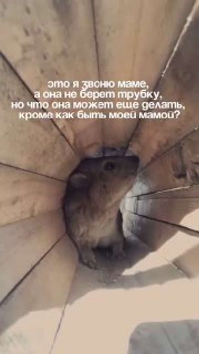 Post media