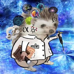 Наука без межей avatar