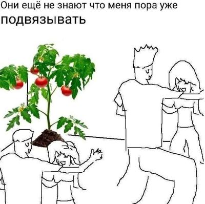 Post media