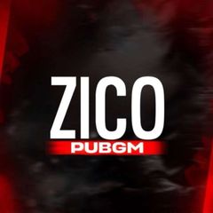 ZICO PUBG MOBILE ⚔️ avatar