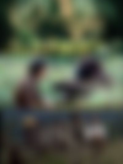 Post media background