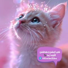 💜🐈گوربه زیبا avatar