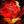 Fire walks with me avatar