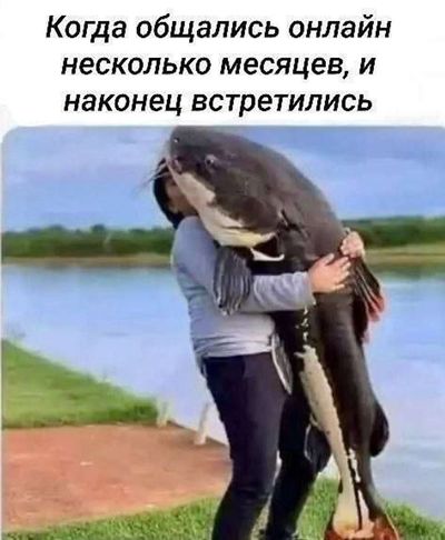 Post media