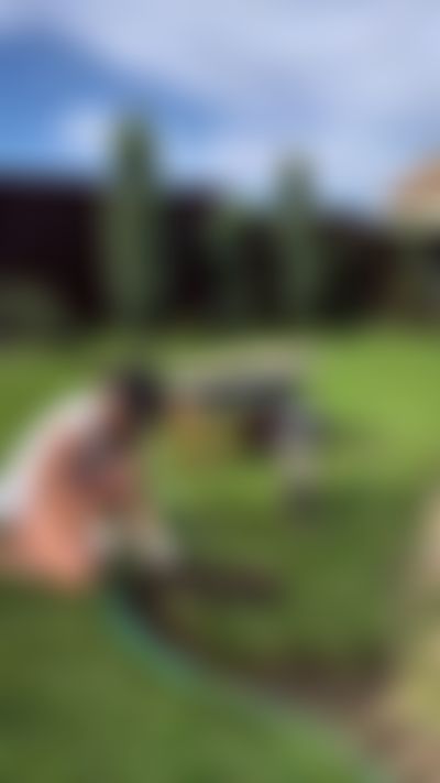 Post media background