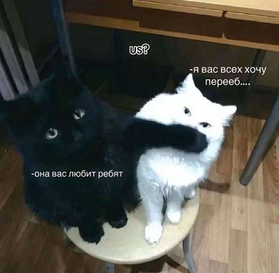 Post media