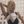 Rosie Posey avatar