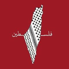 سـليمة 🇵🇸 . avatar