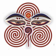 Augen Auf im Leben avatar