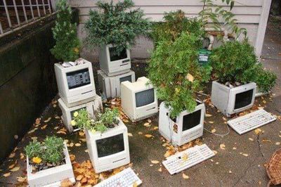 Post media